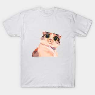 Stunned Cat T-Shirt